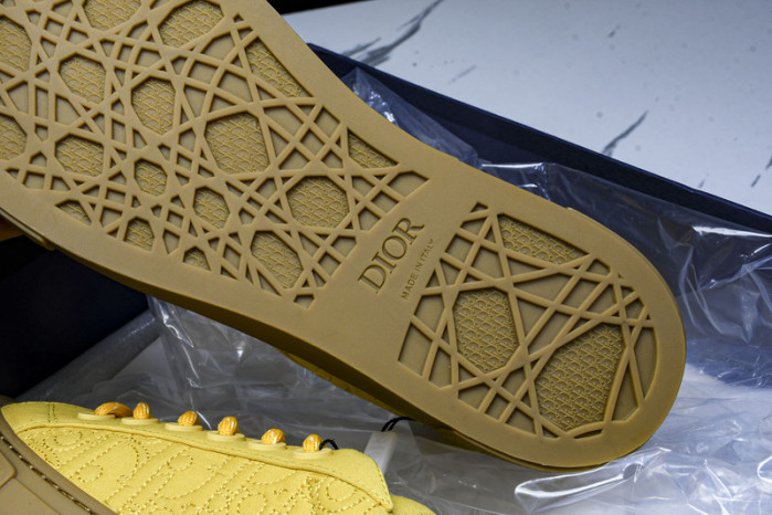 Dior B33 SNEAKER (EU38-46)