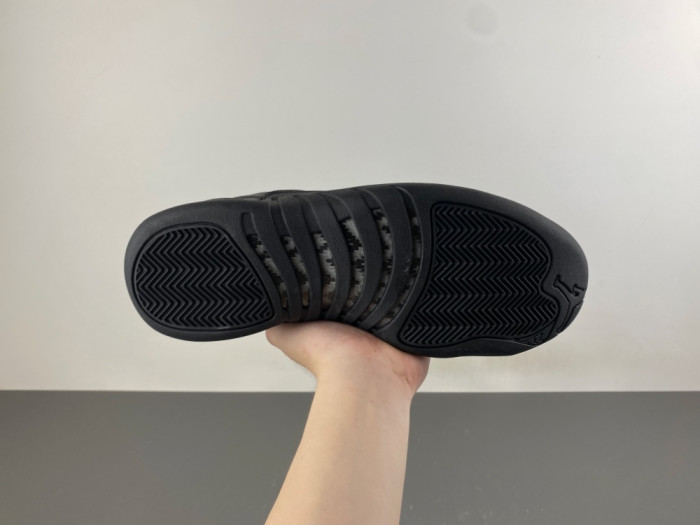 Air Jordan 12 CT8013-010