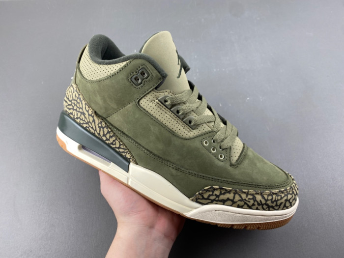 Air Jordan 3 “Family Affair” DN3707-202