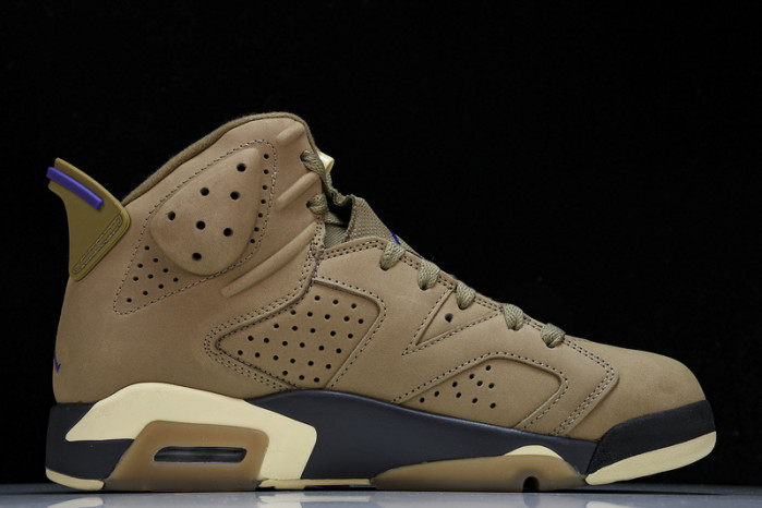 jordan 6 retro gore-tex brown kelp fd1643-300