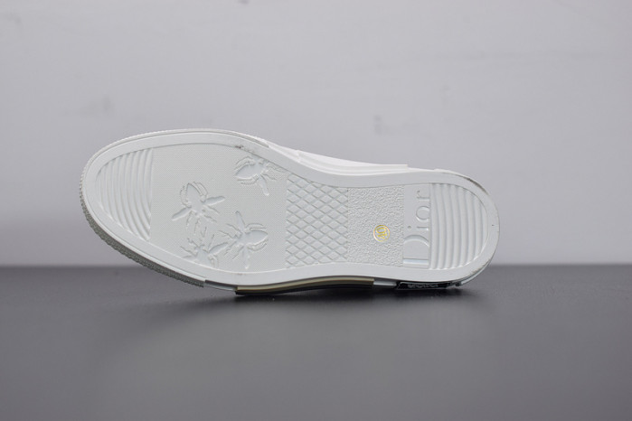 D*or b23 oblique low top sneakers l00n4