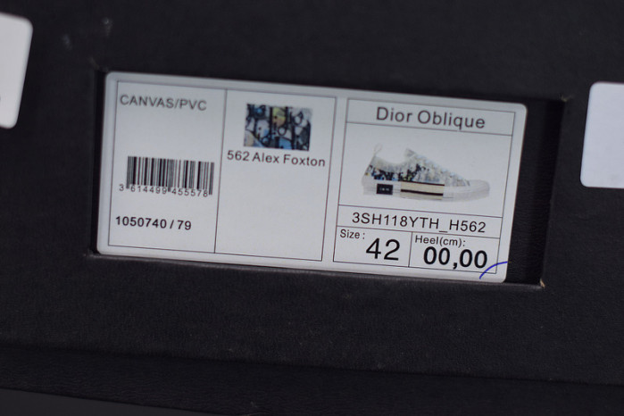 D*or b23 oblique low top sneakers l00n4