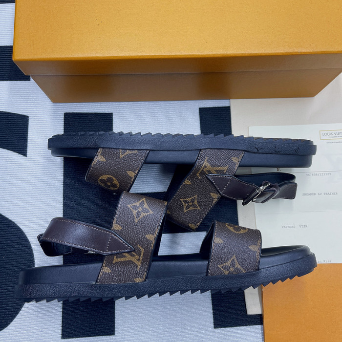 lv slides