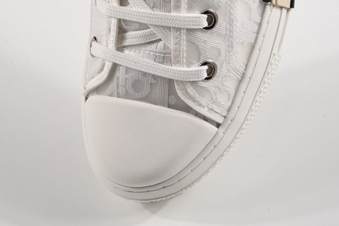 D*or b23 homme kaws low top sneaker