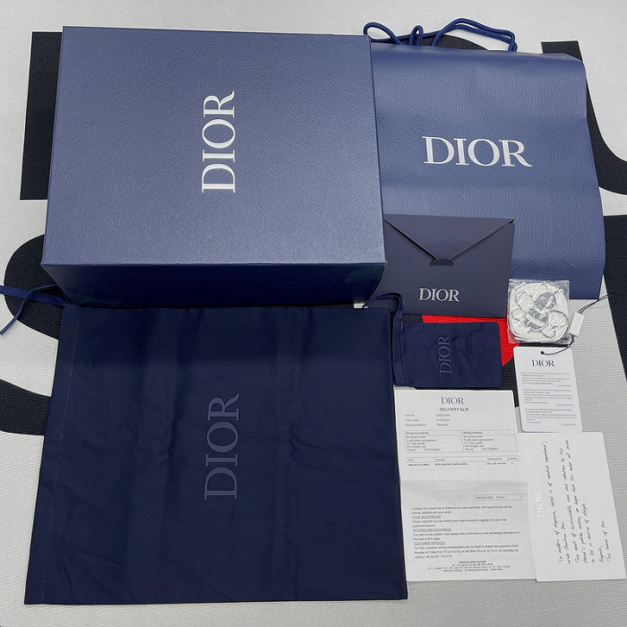 DIOR B30 SNEAKER