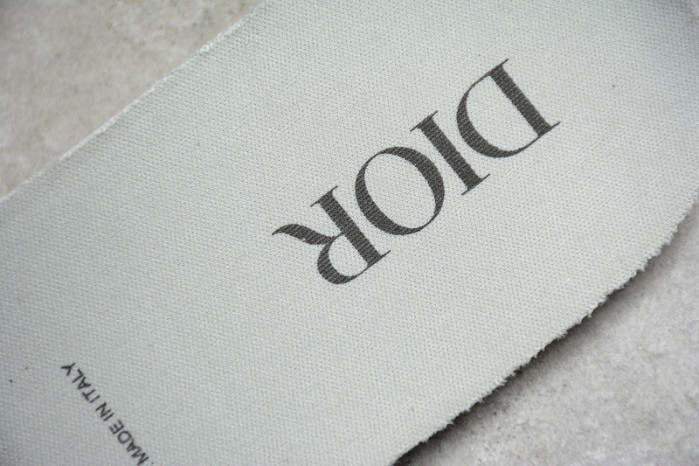 D*or b27 high top sneaker