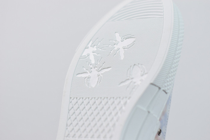 D*or b23 oblique low top sneakers l00n4