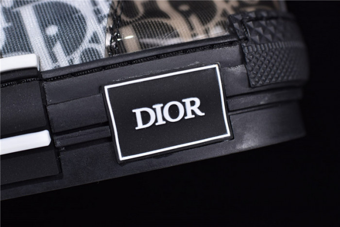 D*or b23 homme kaws low top sneaker