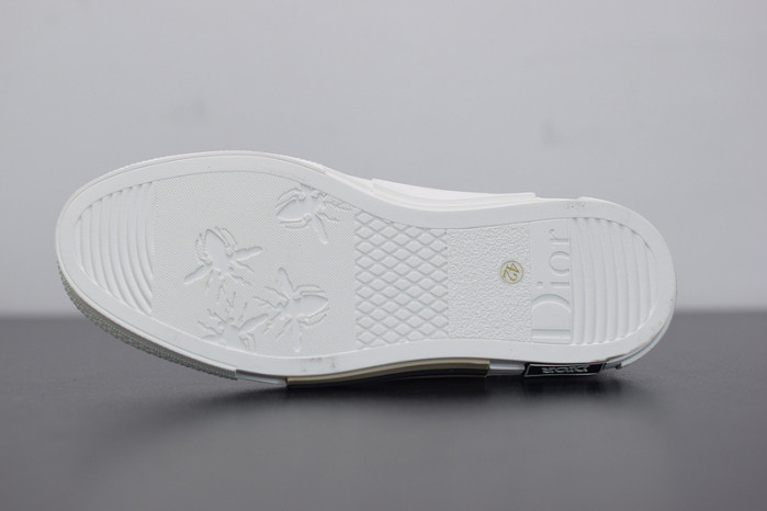 D*or b23 oblique low top sneakers l00n4